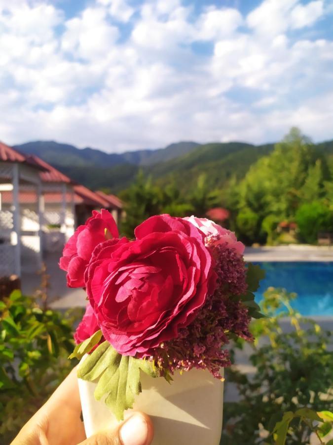 Bliss Hotel Gabala Exteriér fotografie